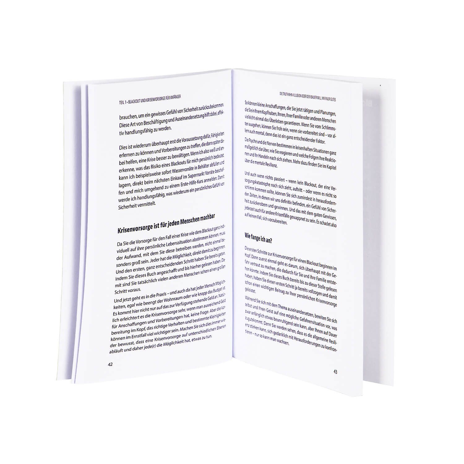 Taschenbuch Blackout Vorsorge