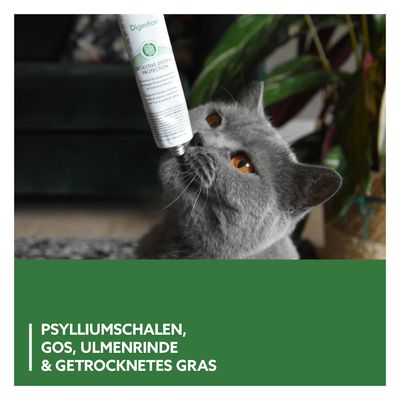 GimCat Gastro Intestinal Paste