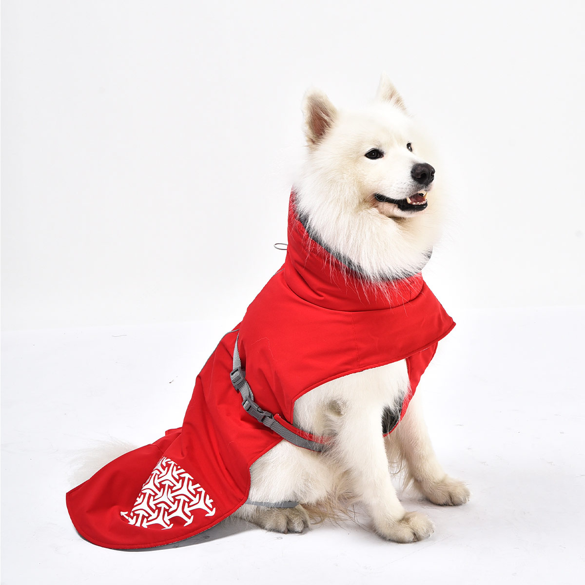 iEnergy JUD Hundewintermantel günstig kaufen bei ZooRoyal