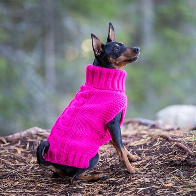 Rukka® Hundepullover Wooly, himbeer
