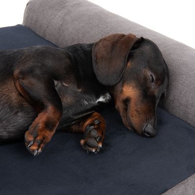 Modern Living Hundematratze Malbork