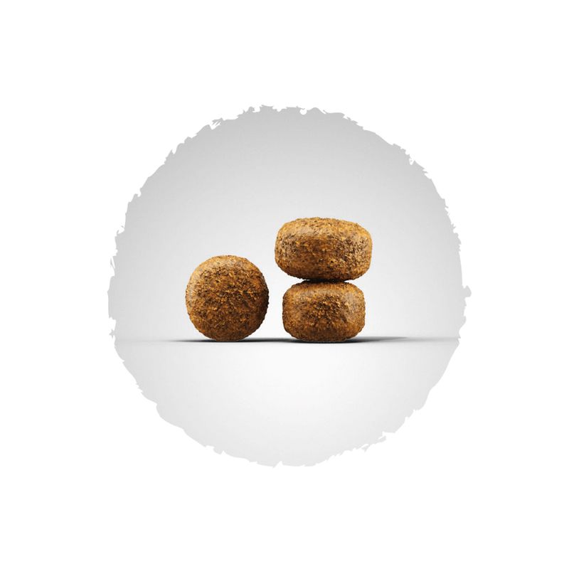Josera Balance