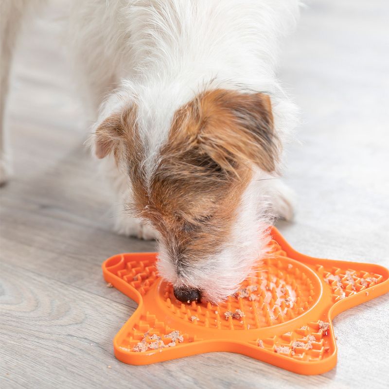 Trixie Lick'n'Snack Schleckmatte Stern zu TOP-Preisen | bitiba %