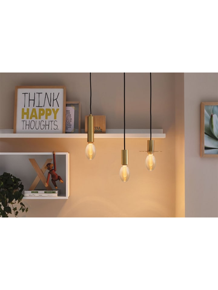 paulmann Inner Glow Edition LED Birne Arc günstig kaufen onesize