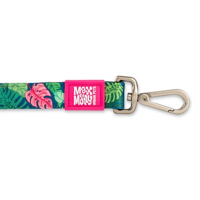 Max & Molly Kurzleine Tropical