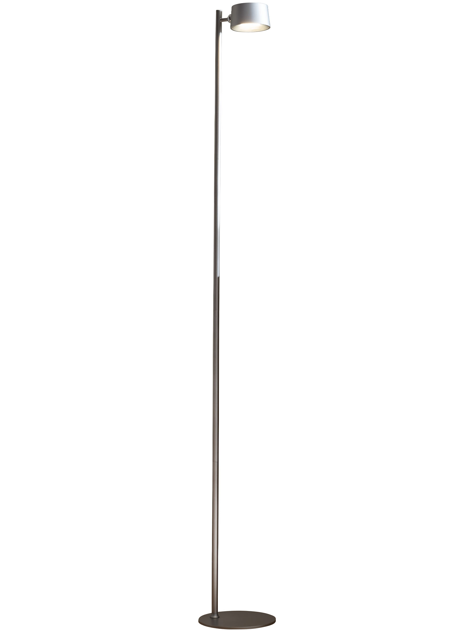 Tofino Lampe, Silber