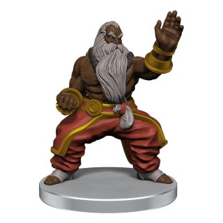 Critical Role: NPCs of Tal'Dorei - Set 2 (pre-painted) (12)