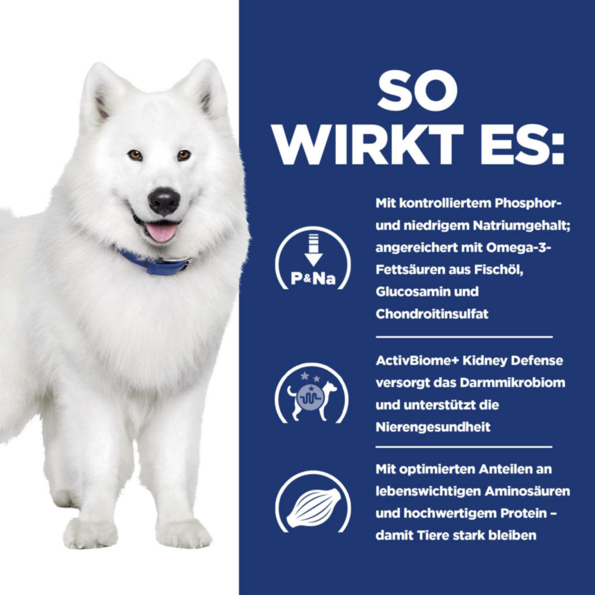 Hill's Prescription Diet k/d + Mobility Original 12kg