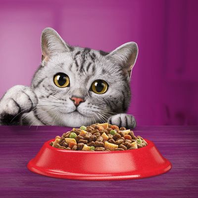 Whiskas 1+ Rind