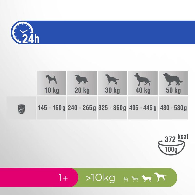 Perfect Fit Adult Hund (>10kg)
