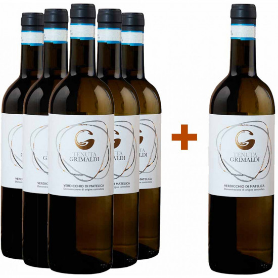 5+1 Paket Verdicchio di Matelica DOC trocken - Tenuta Grimaldi