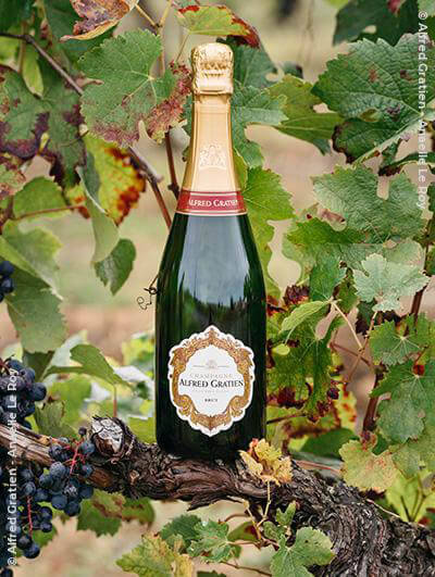 Alfred Gratien : Brut