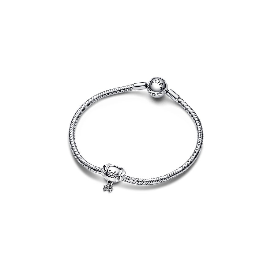 Pandora Charm Moments