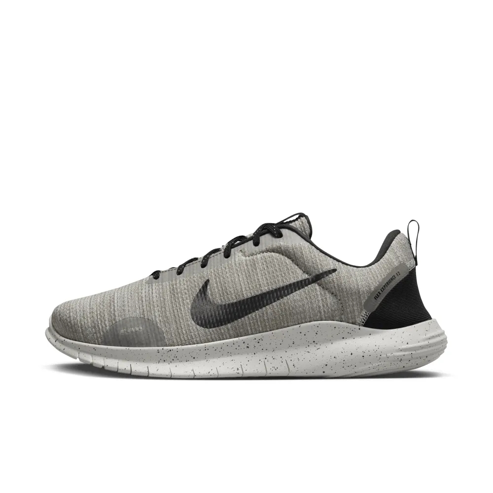 Nike Flex Experience Run 12 DV0744-001 / grau