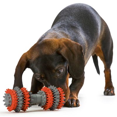 HUNTER Zahnreinigender Hundeknochen 