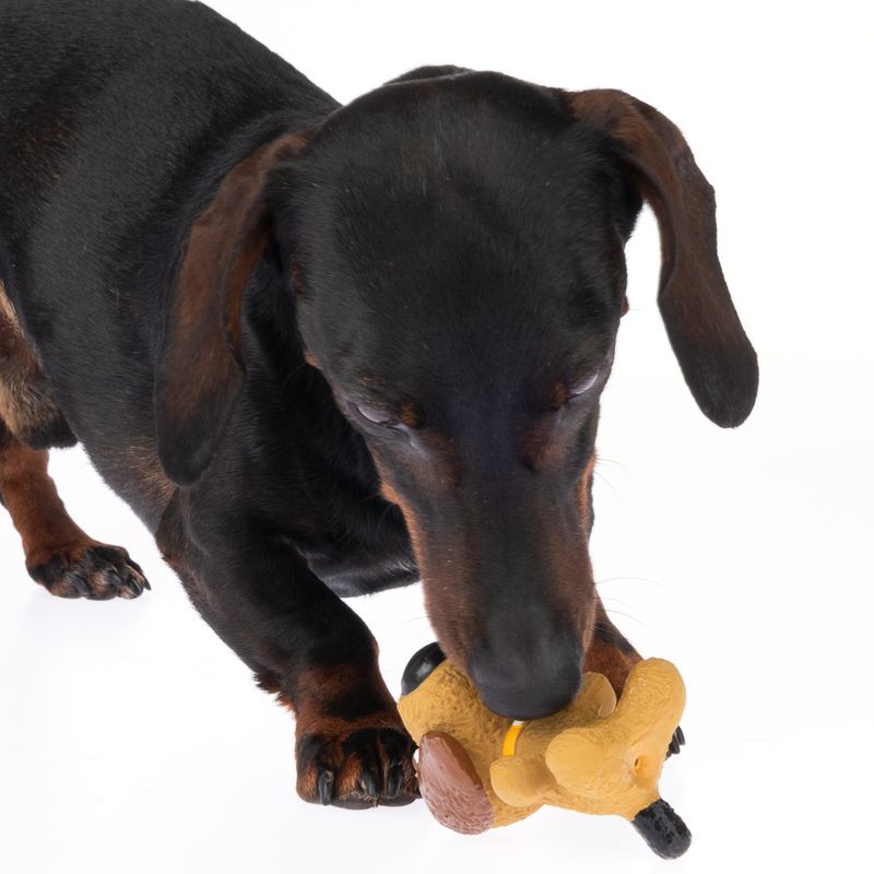 TIAKI Hundespielzeug Latex Hündchen zu TOP-Preisen