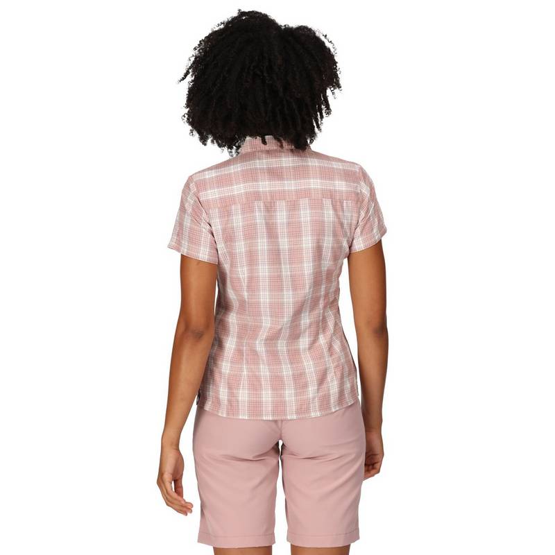 Regatta Mindano VII Funktionsbluse Damen