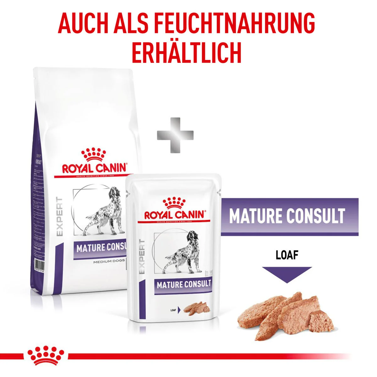 ROYAL CANIN Expert MATURE CONSULT MEDIUM DOGS Trockenfutter für Hunde