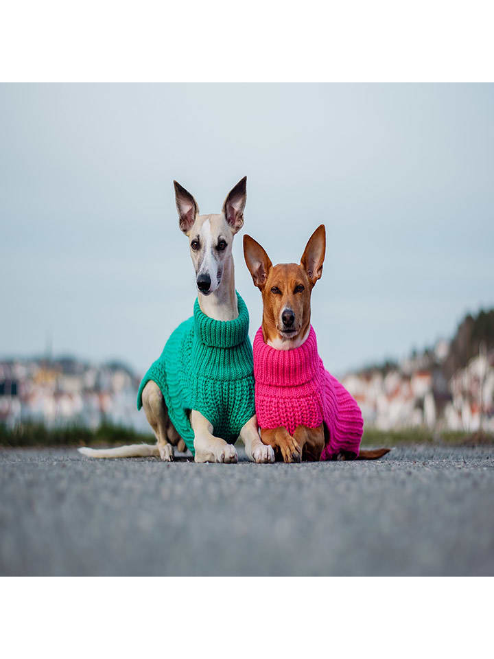 Paikka Hunde-Wollpullover in Pink günstig kaufen