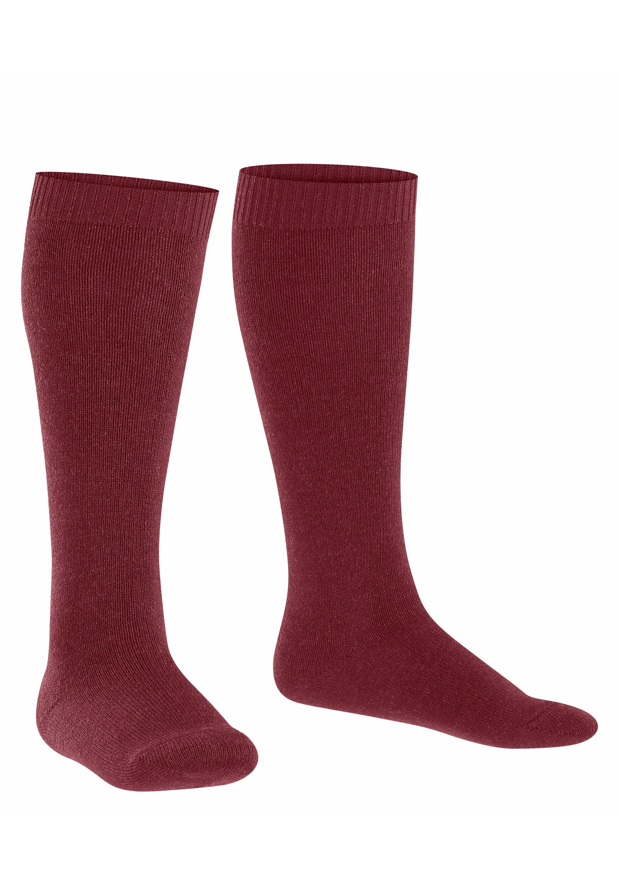 Calcetines cálidos hasta la rodilla de lana FALKE Comfort