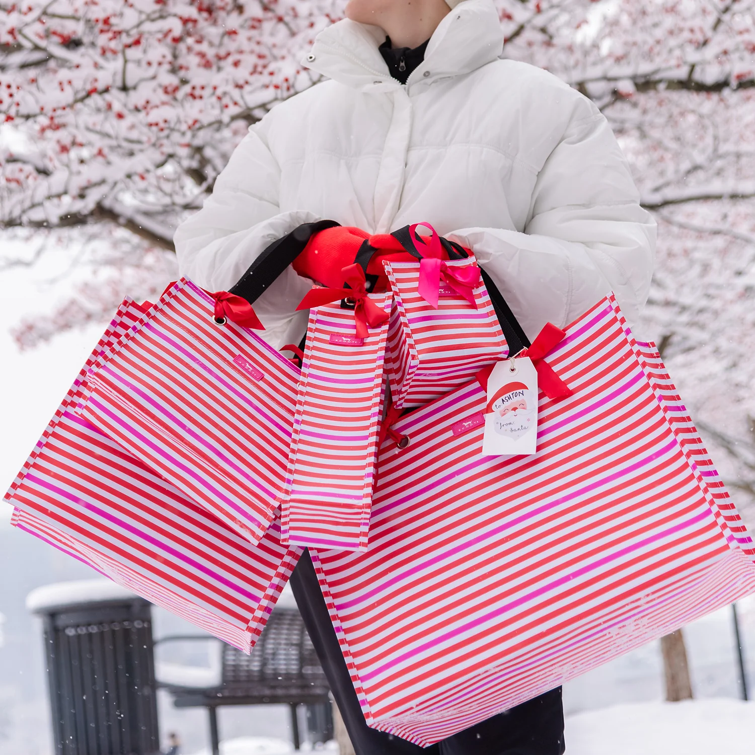 Gift Bag Large Large Package