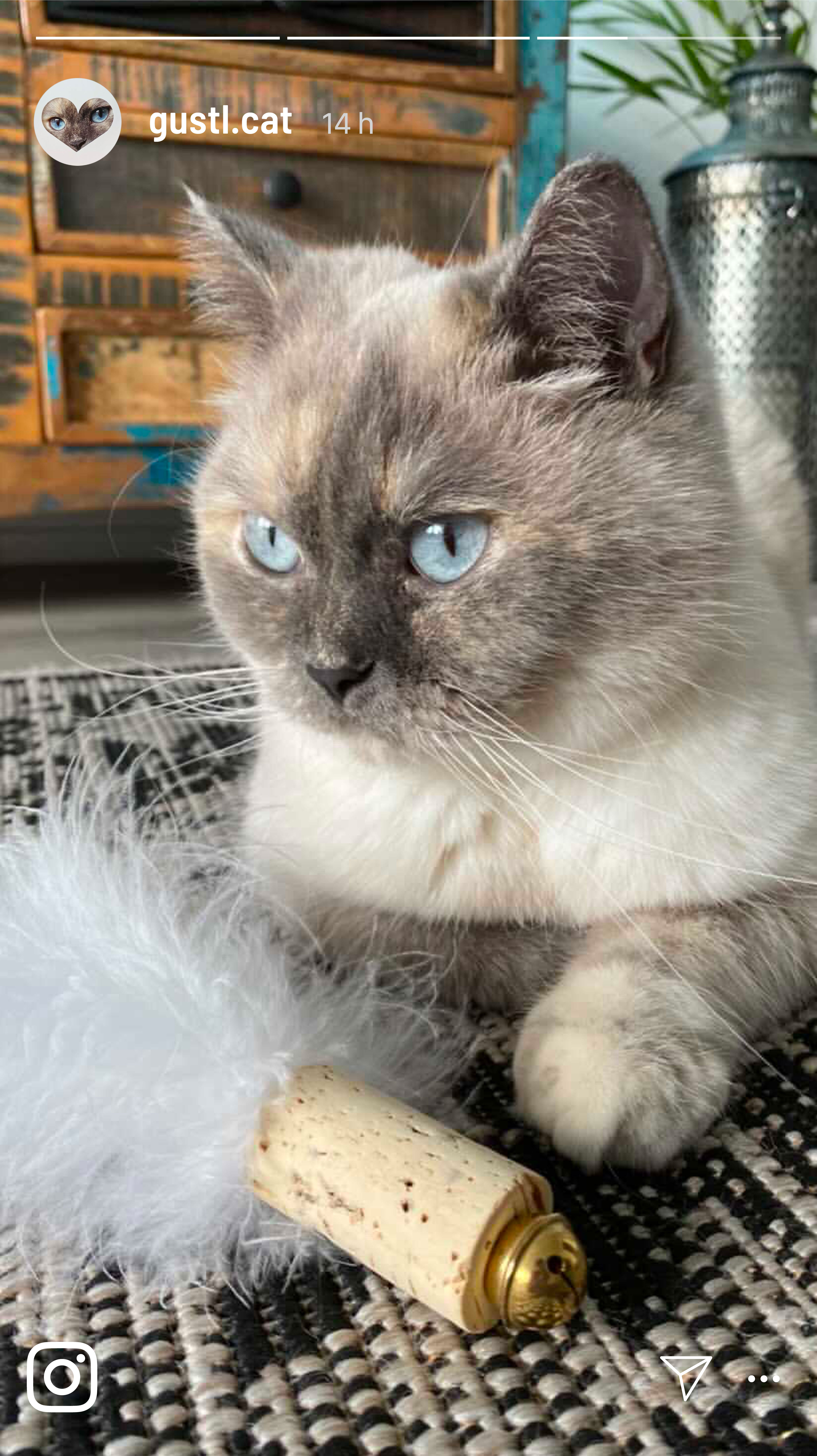 Kater Kasimir Spielmäuse & Bälle Kater Kasimir handgemachter Premium Federball mit echten Naturfedern