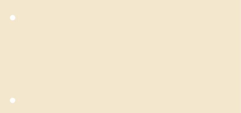 KANGARO Blanko Trennstreifen Spezial Beige Karton Rechteckig 2 Löcher 07071-08 100 Stück