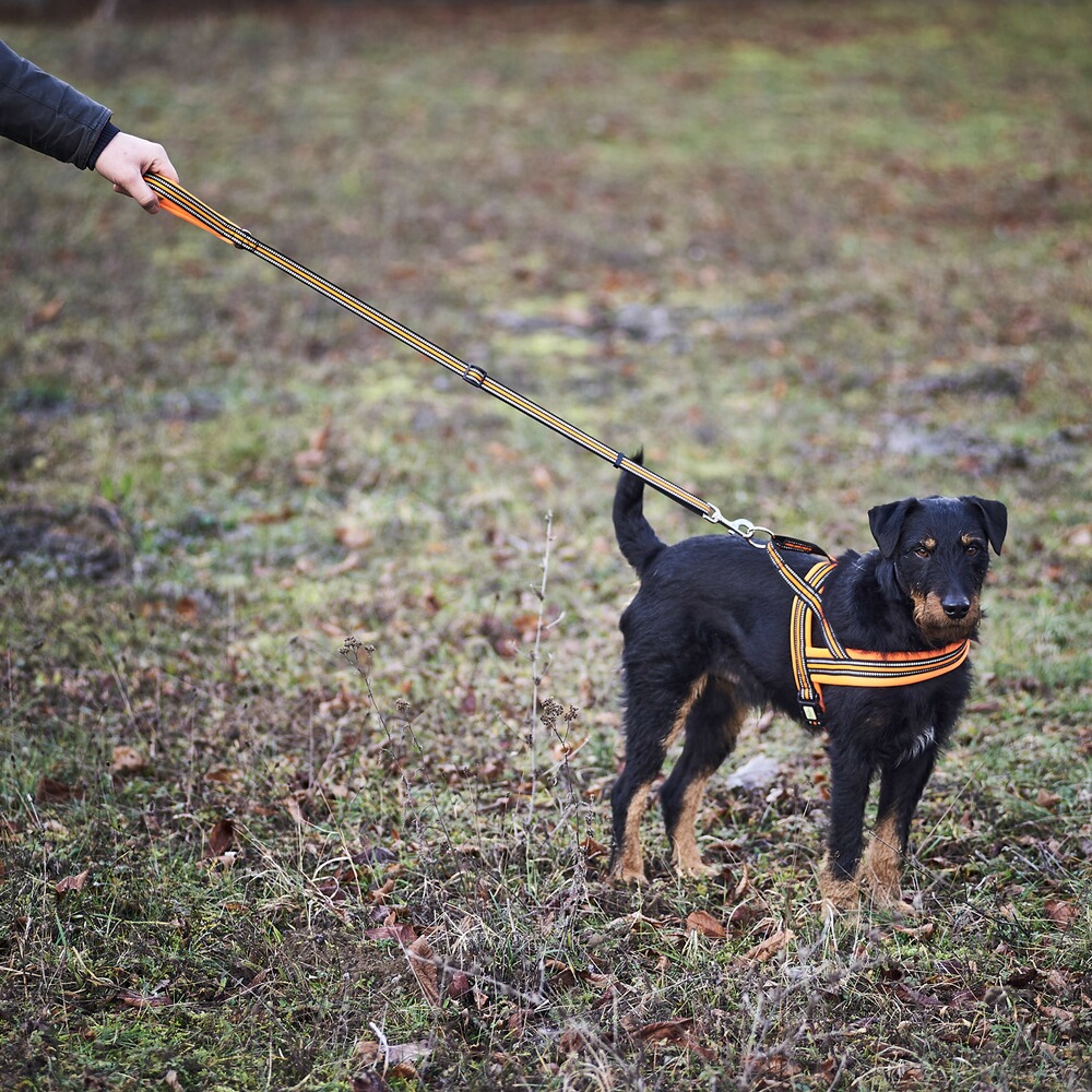 Heim Hundegeschirr Signal