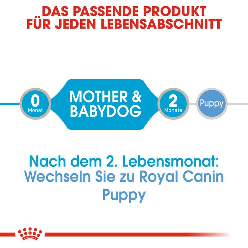 ROYAL CANIN Hundenassfutter ROYAL CANIN Starter Mousse 12x195g