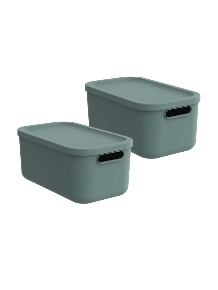 Rotho Albula Light Kiste 12l mit Deckel in Mistletoe green günstig kaufen onesize