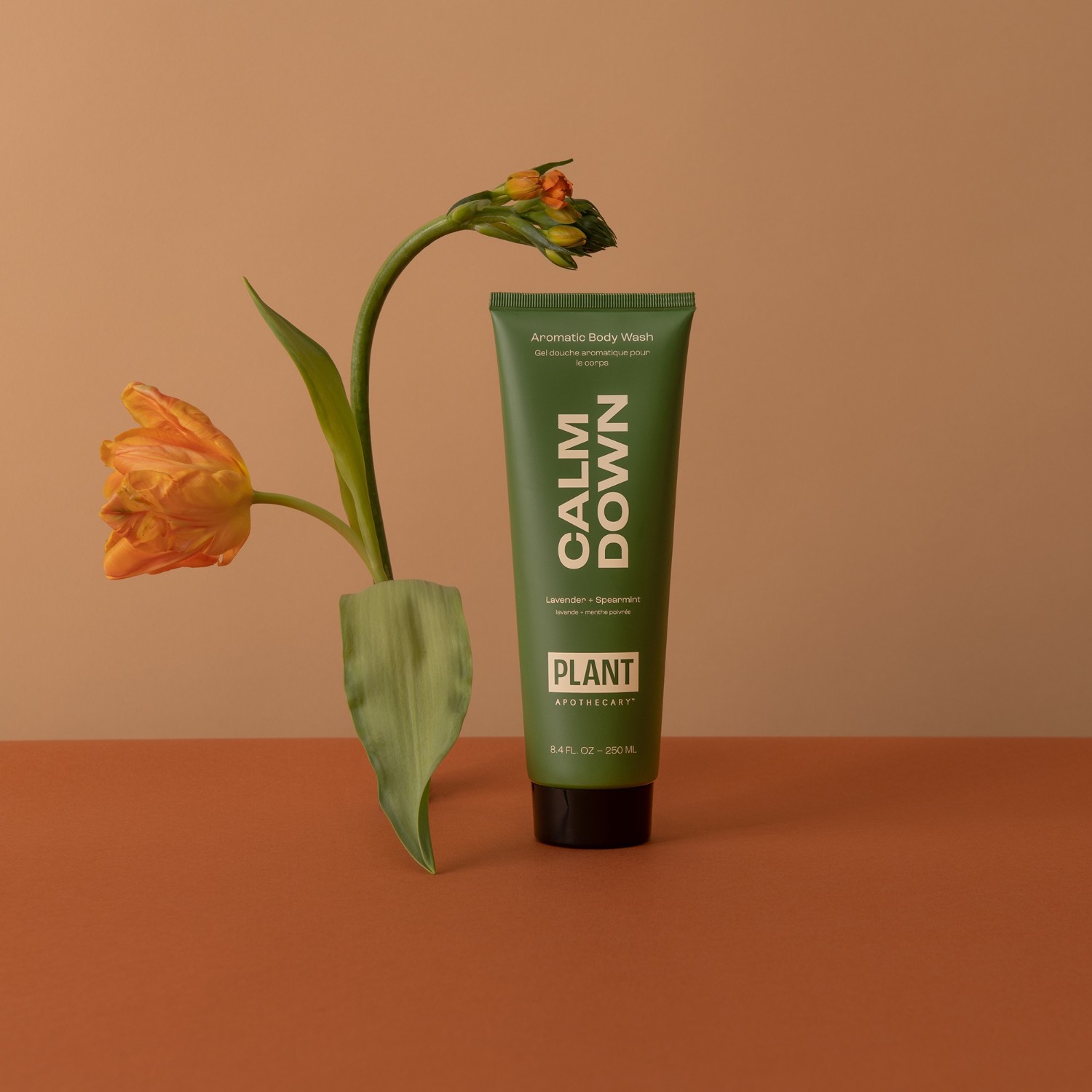 Upokojenie z rastlinnej lekárne: Aromatický sprchový gél