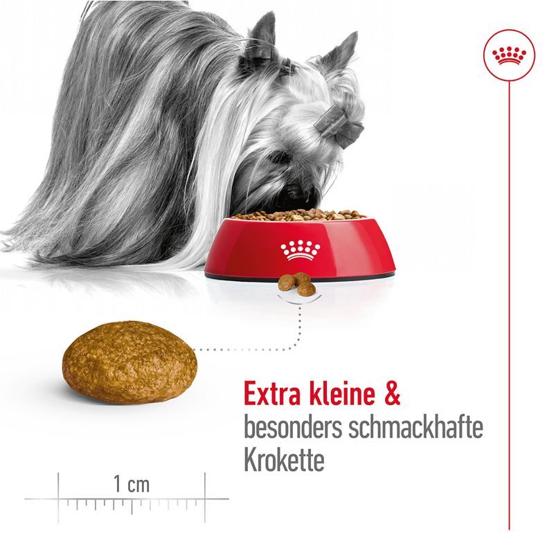 Royal Canin X-Small Adult zu TOP-Preisen
