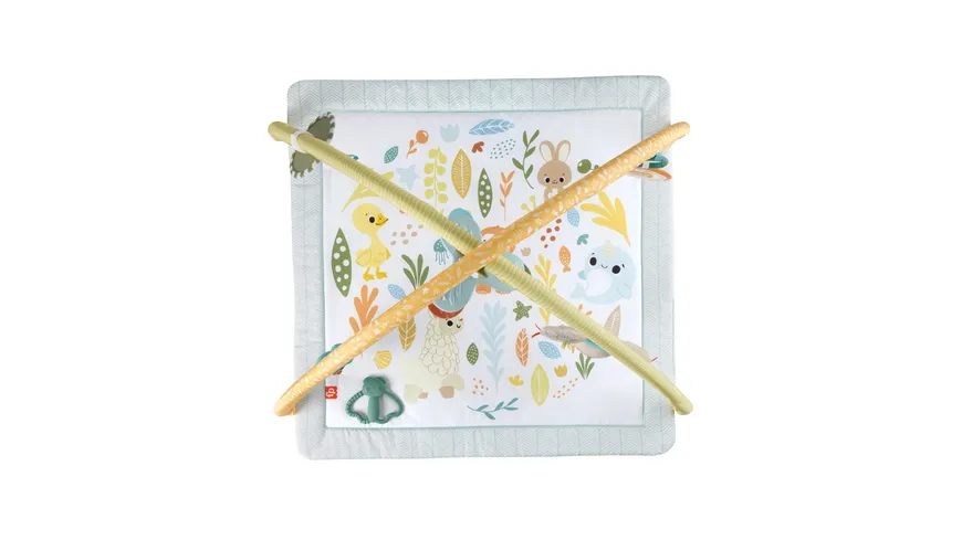 Fisher-Price Simply Senses Sensorische Erlebnisdecke