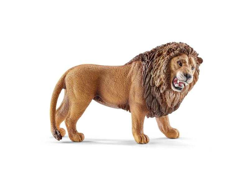 Lion rugissant