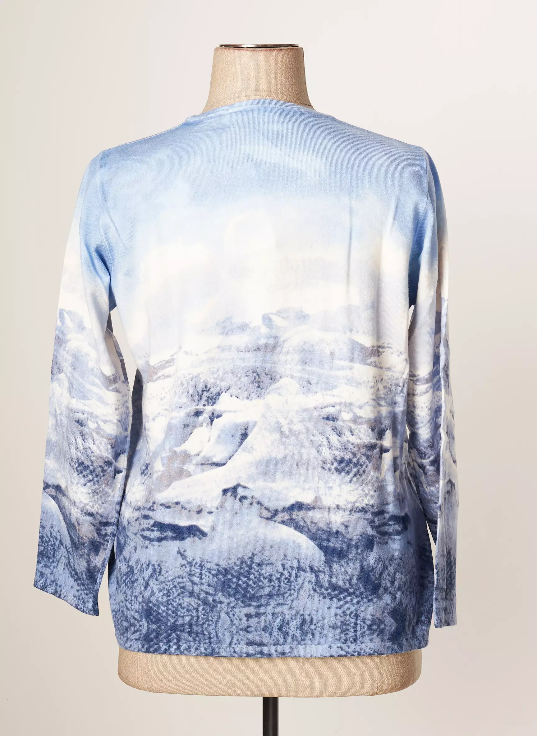 Rabe Pulls Femme couleur bleu