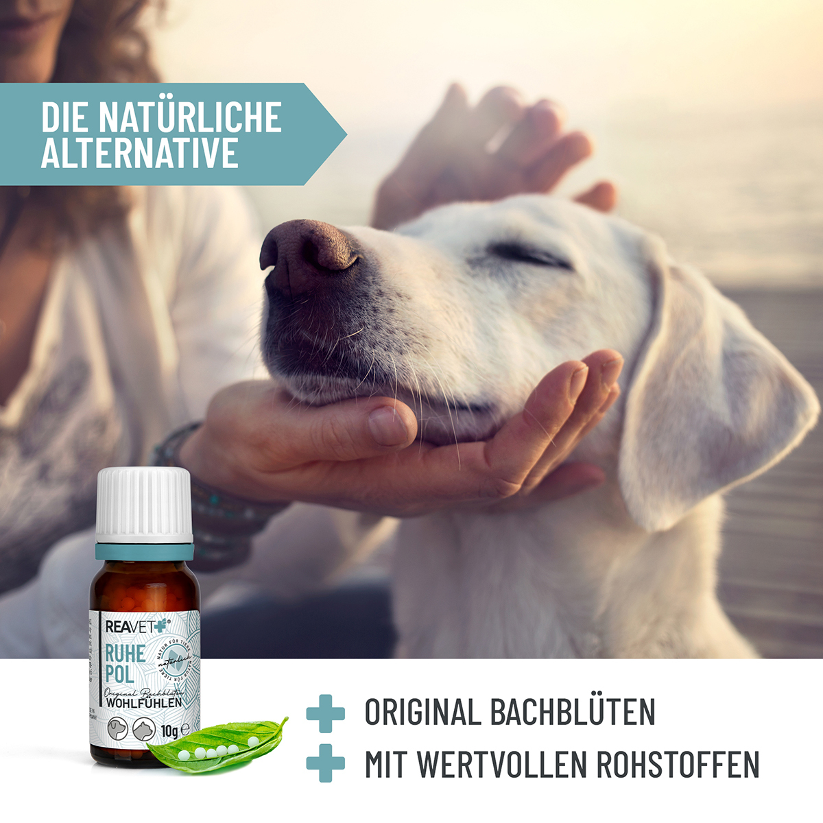 REAVET Ergänzungsfutter & Aufzucht REAVET Bachblüten Globuli - Ruhepol 10g