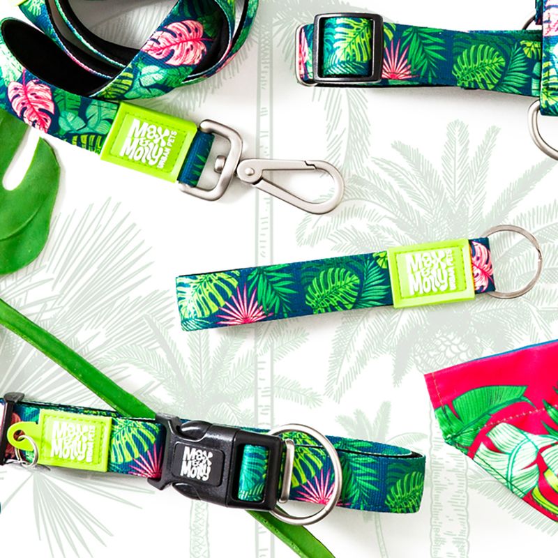 Max & Molly Kurzleine Tropical zu TOP-Preisen