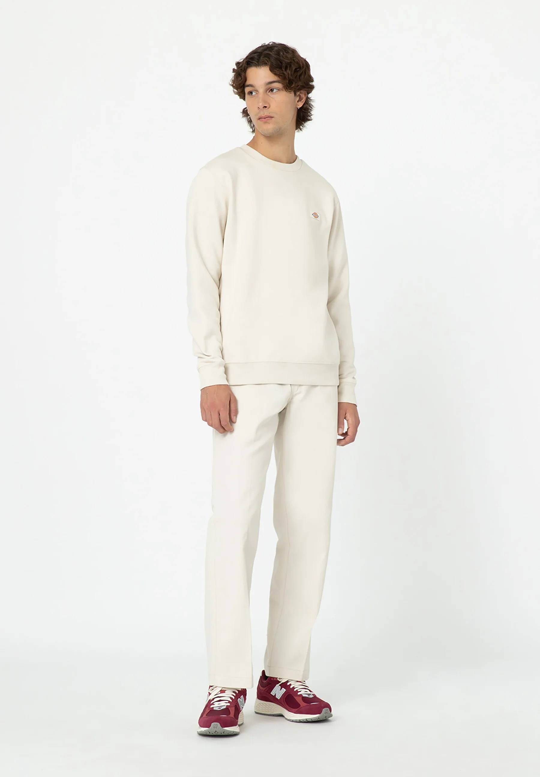 Dickies WORK - Pantalones