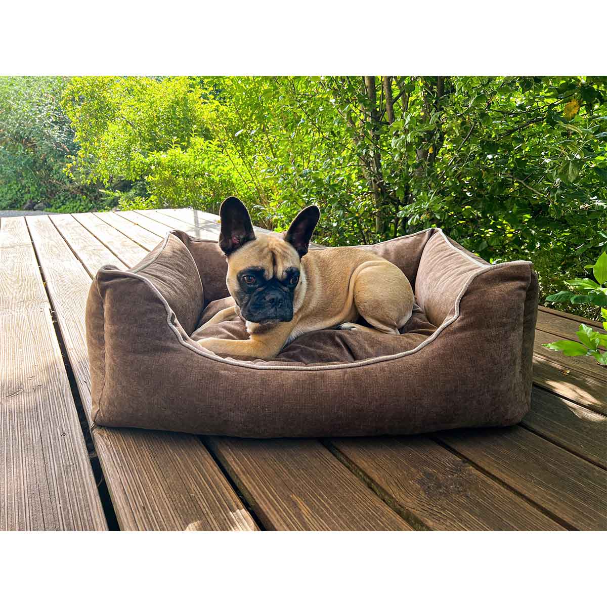 Aumüller Hundebett Sofa Ortho Line Braun kaufen bei ZooRoyal