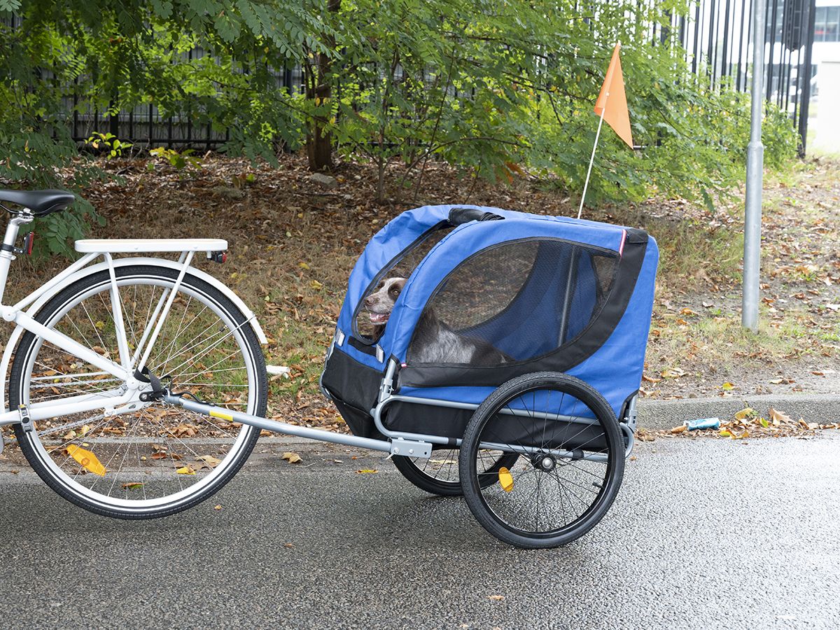 Bicycle Gear Hundefahrradanhänger
