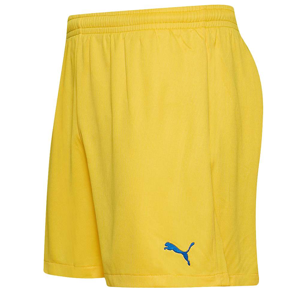 PUMA Vencida Herren Shorts 700789-28