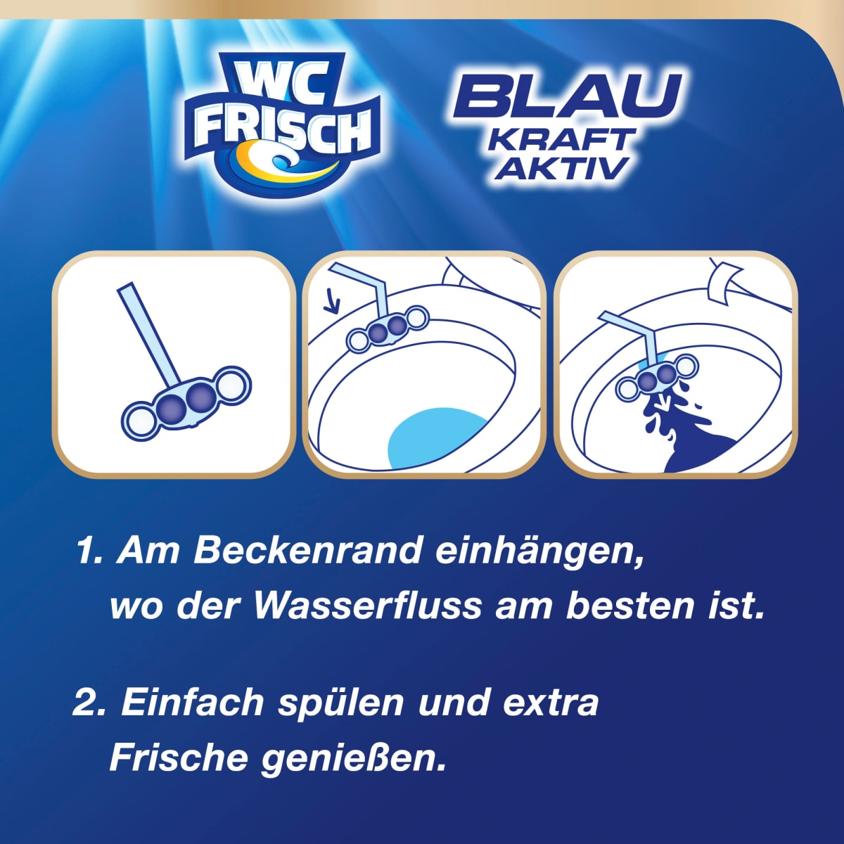 WC-Stein Blau Kraft Aktiv Chlor, 2 St