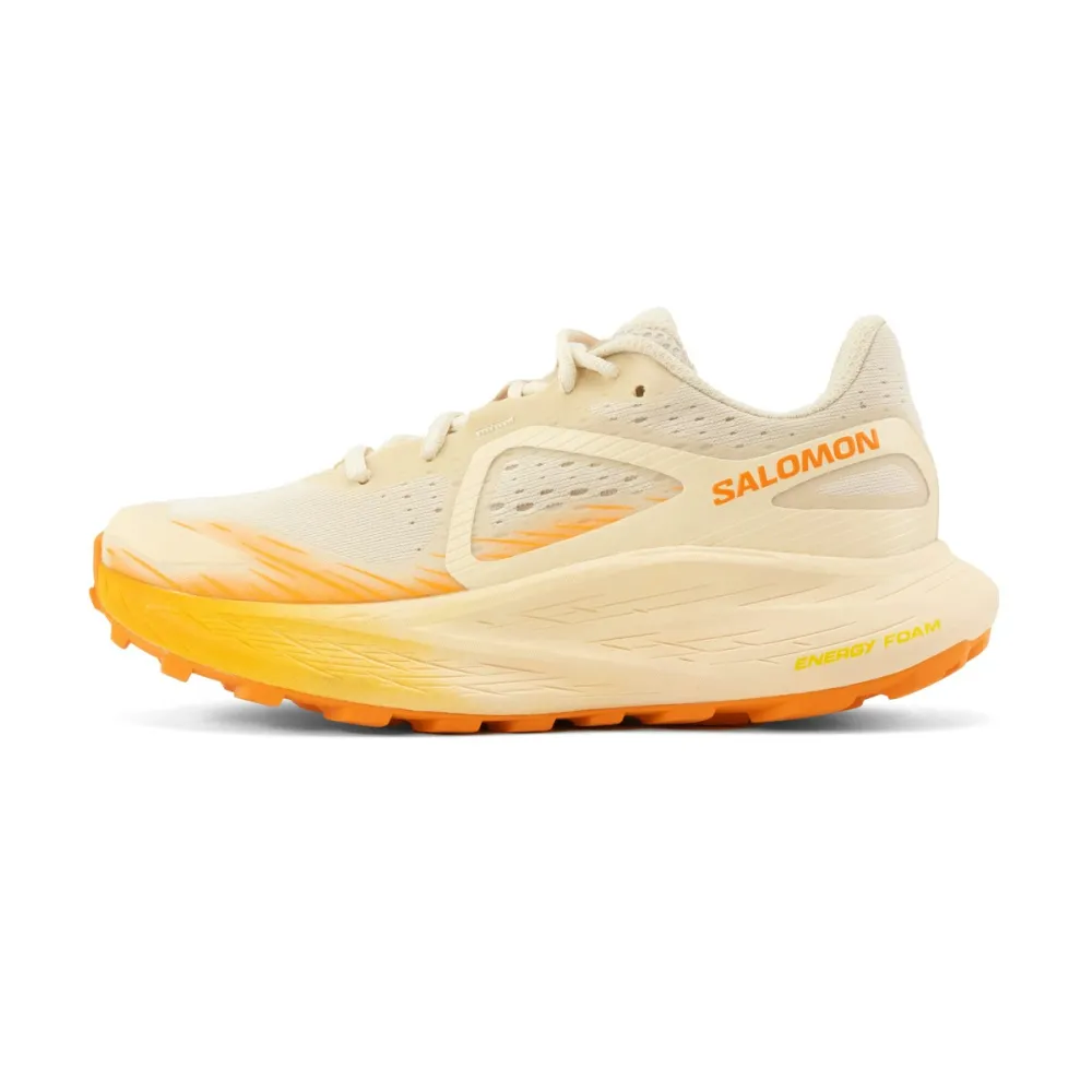 Salomon GLIDE MAX TR W L47120800 / braun