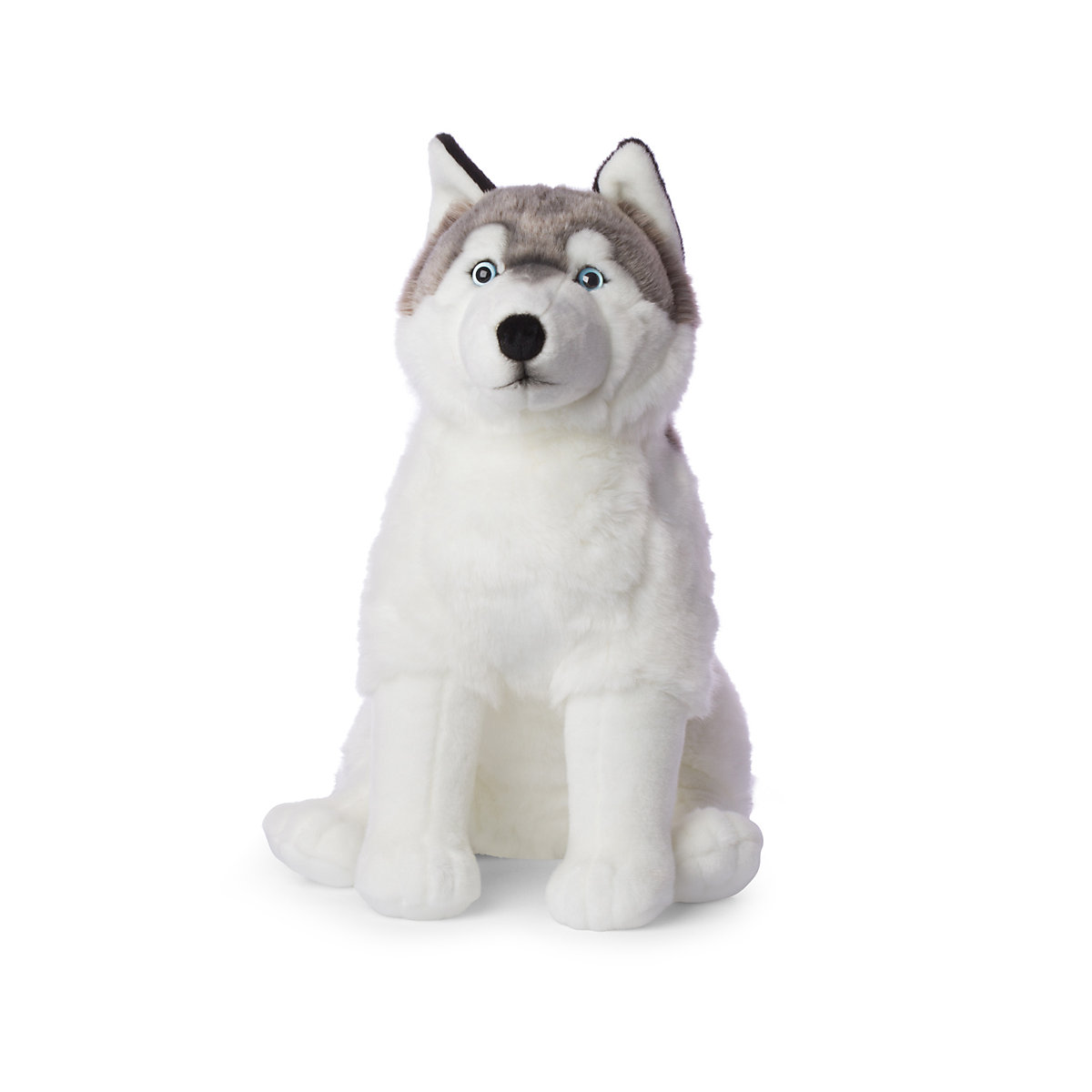 tier Husky [sitzend] (70cm)