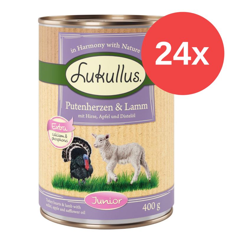 Sparpaket Lukullus Naturkost Junior 24 x 400 g