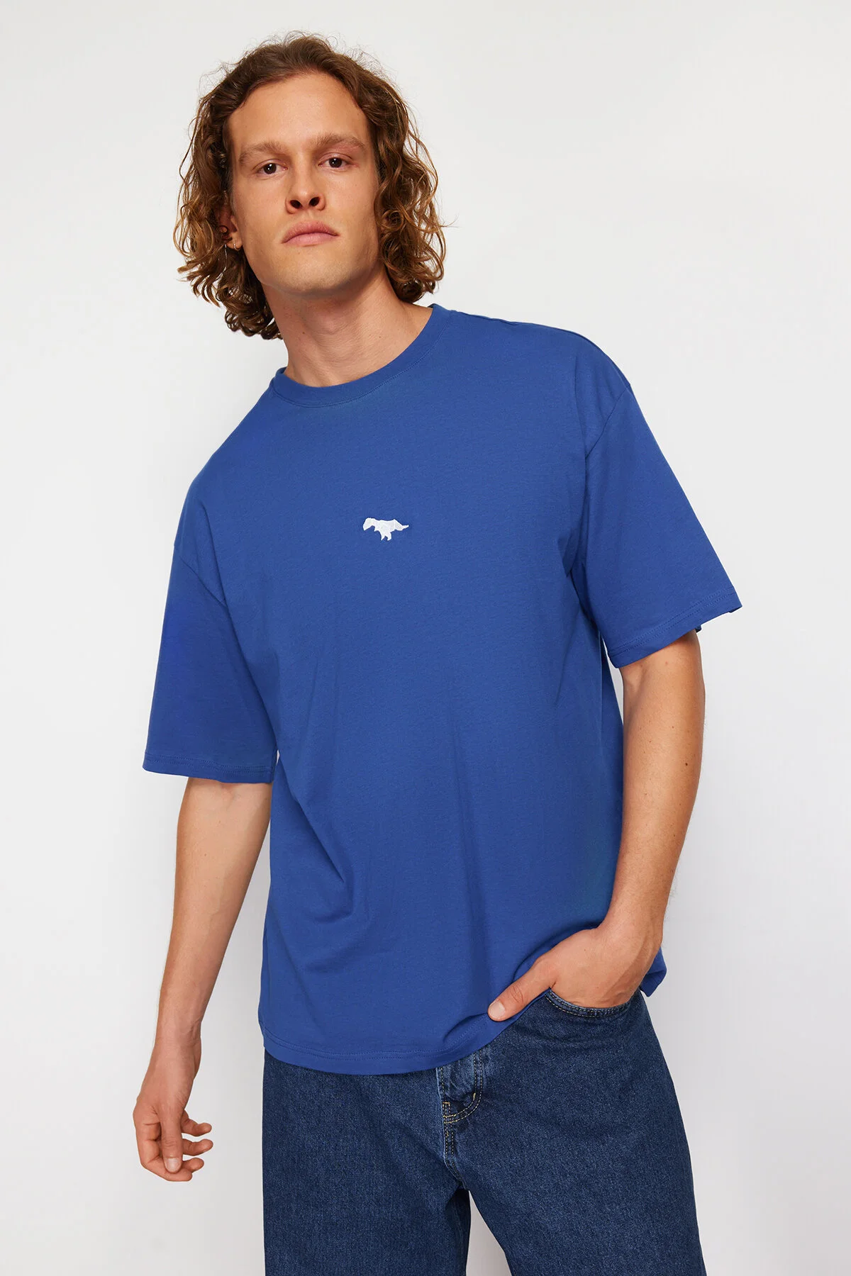 Trendyol Collection  Indigofarbenes, übergroßes/weit geschnittenes, kurzärmliges, mit Dinosauriern besticktes T-Shirt aus 100 % Baumwolle TMNSS23TS00243
