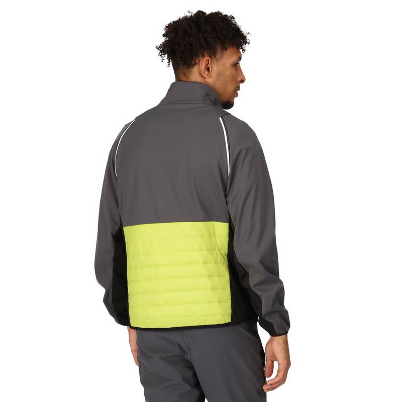 Regatta Steren Funktionsjacke Herren