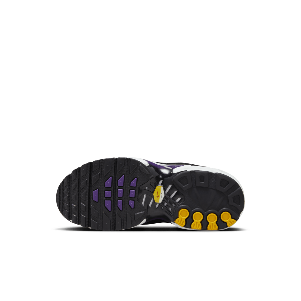 Nike Air Max Plus CD0610-024 / schwarz
