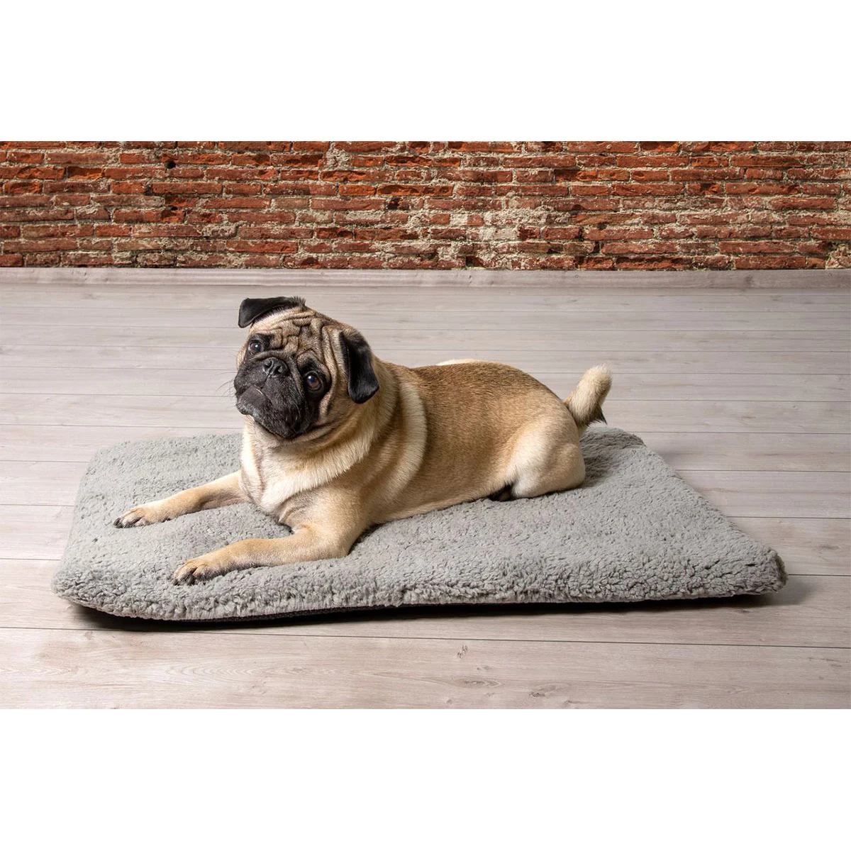 Beeztees orthopädisches Memory Foam Hundekissen Ito bei ZooRoyal
