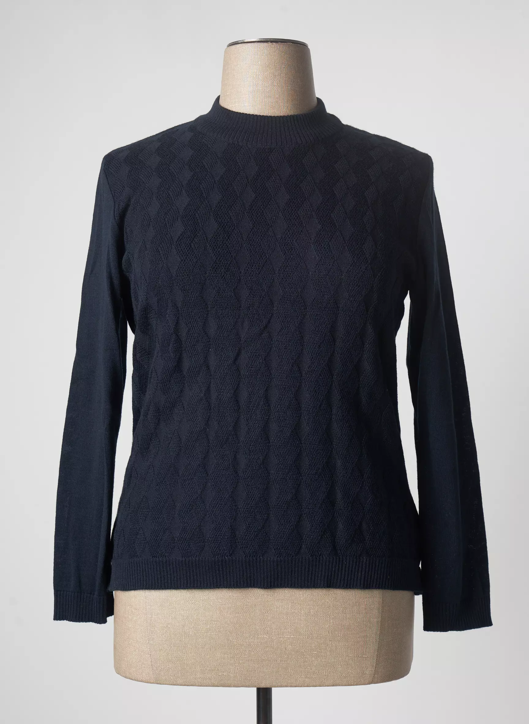 Eleane Pulls Femme couleur bleu